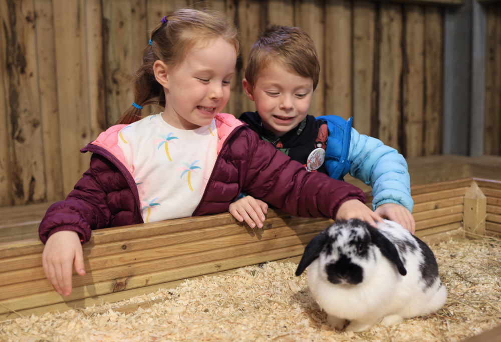 Two kids petting a rabbit