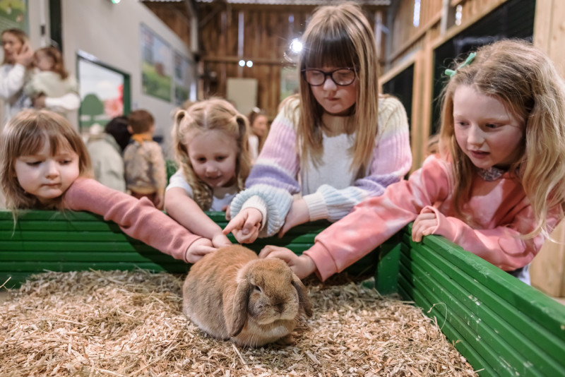 Children petting a rabbit