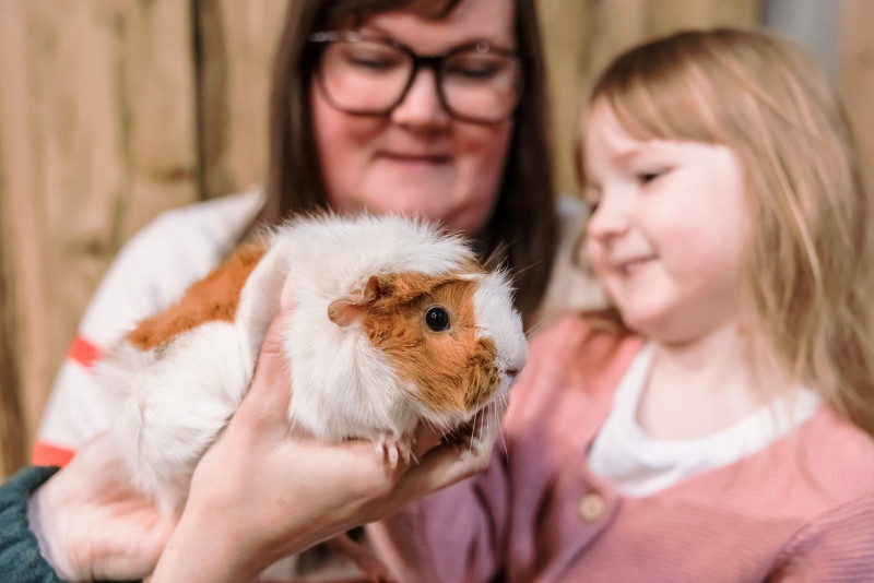 Child petting a guinea pig