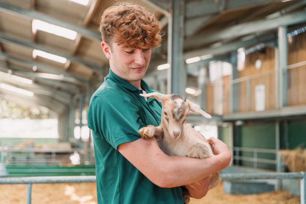 Staff holding a baby goat