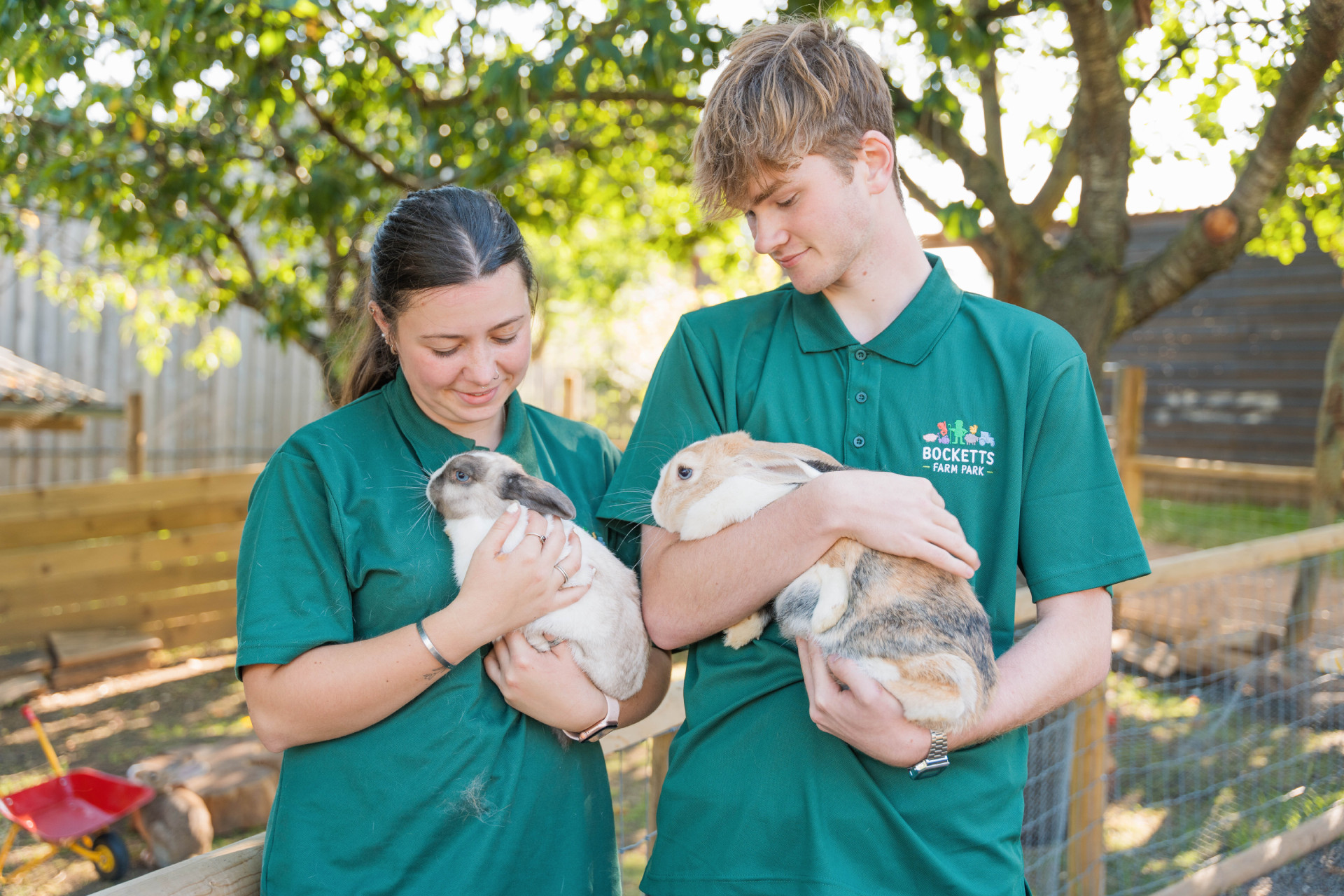 Staff holding rabbits