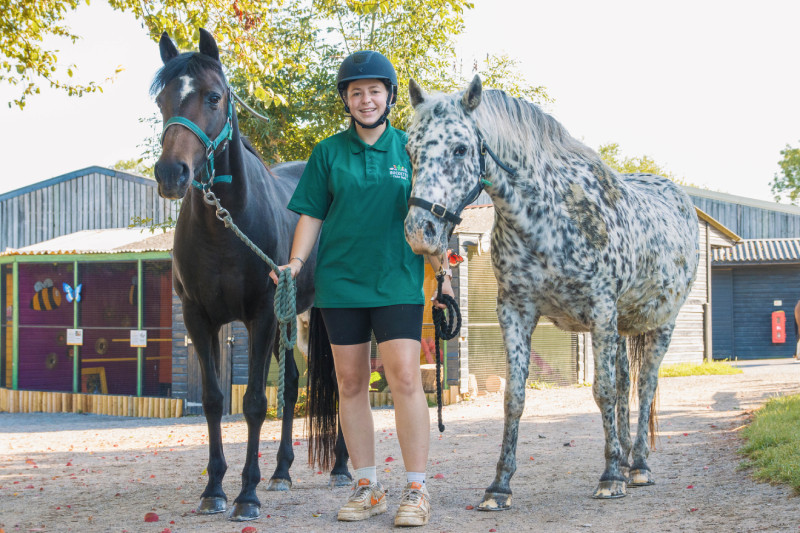 Staff member with two horses