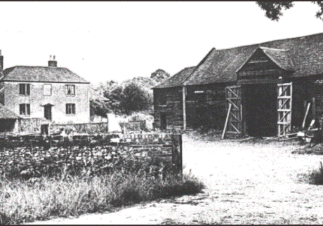 Bocketts Farm Story