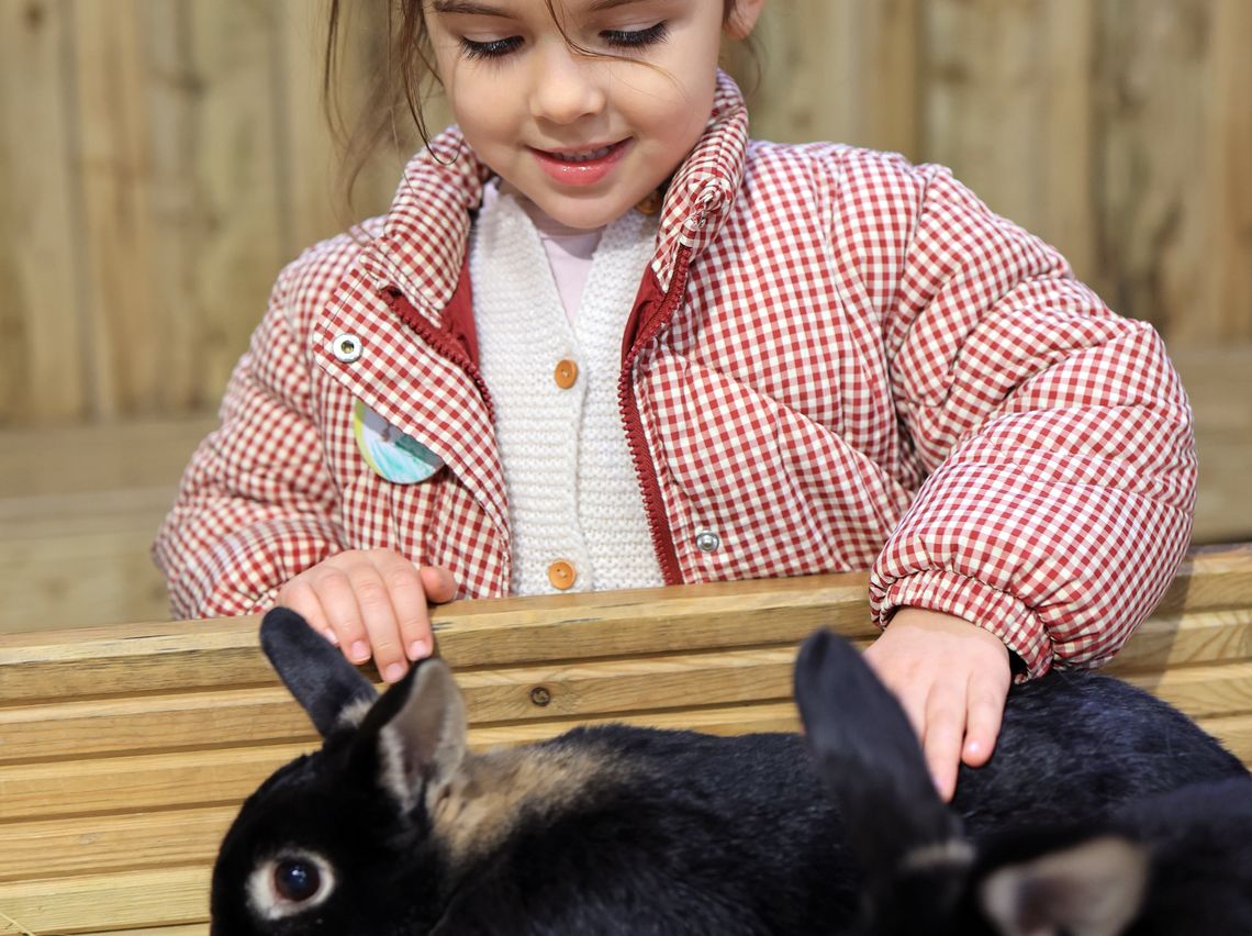 Join Small Animal Encounter sessions