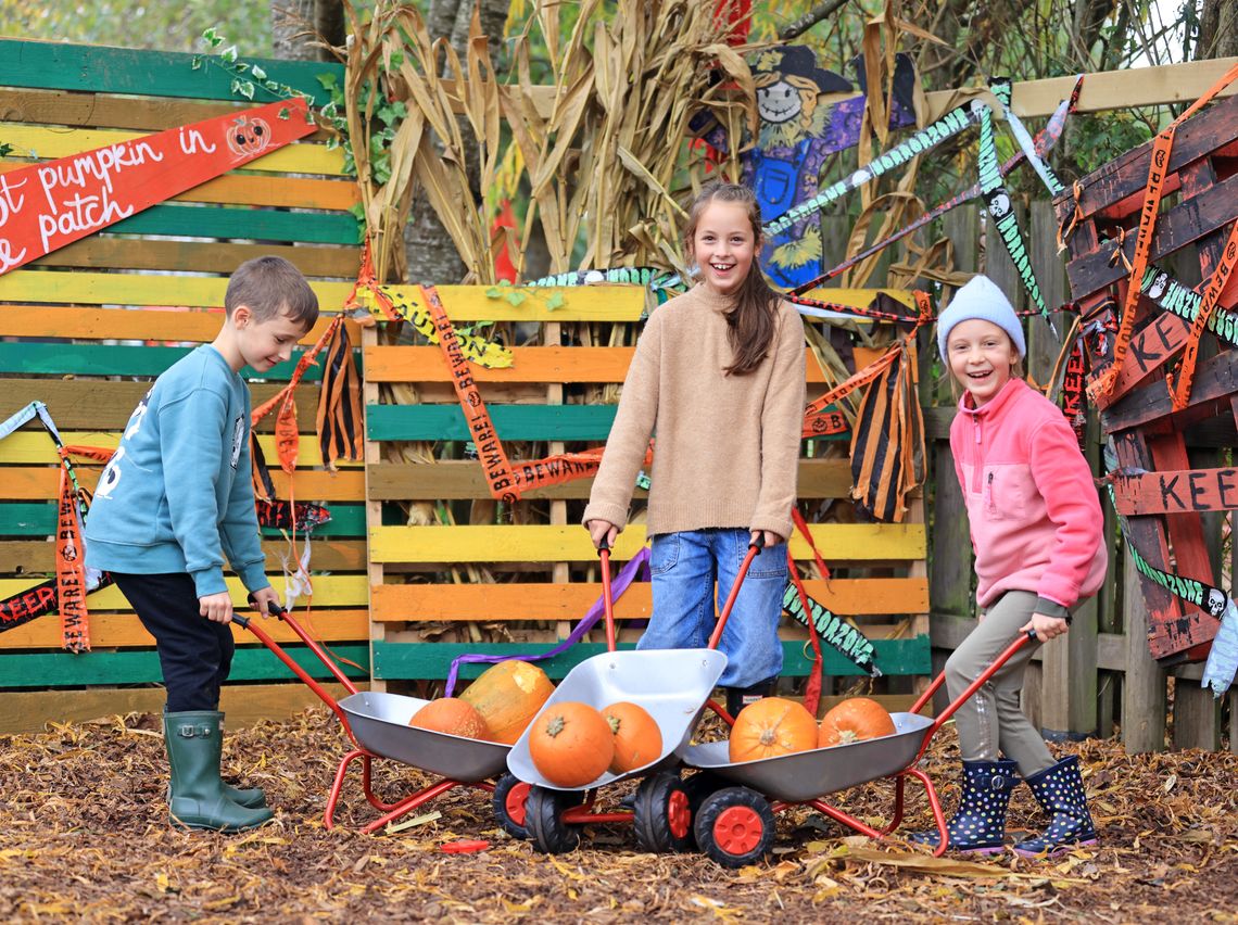 Explore our Pumpkin Village