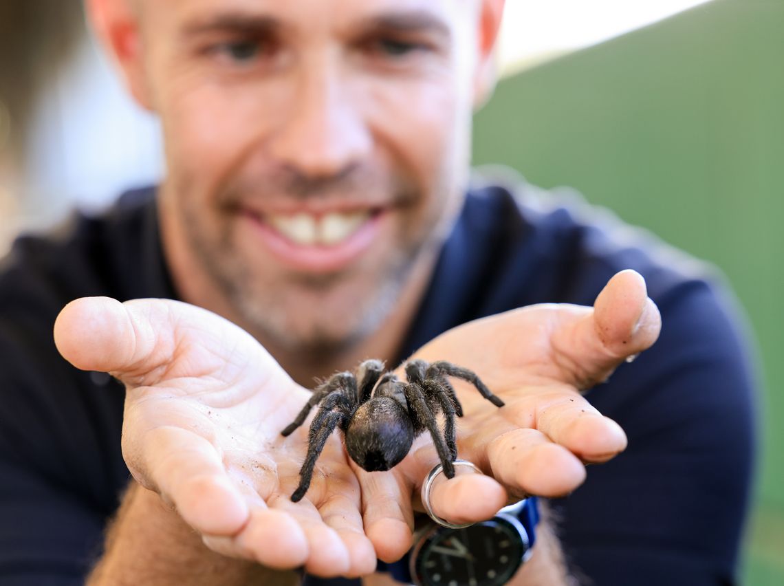 Meet amazing creepy crawlies