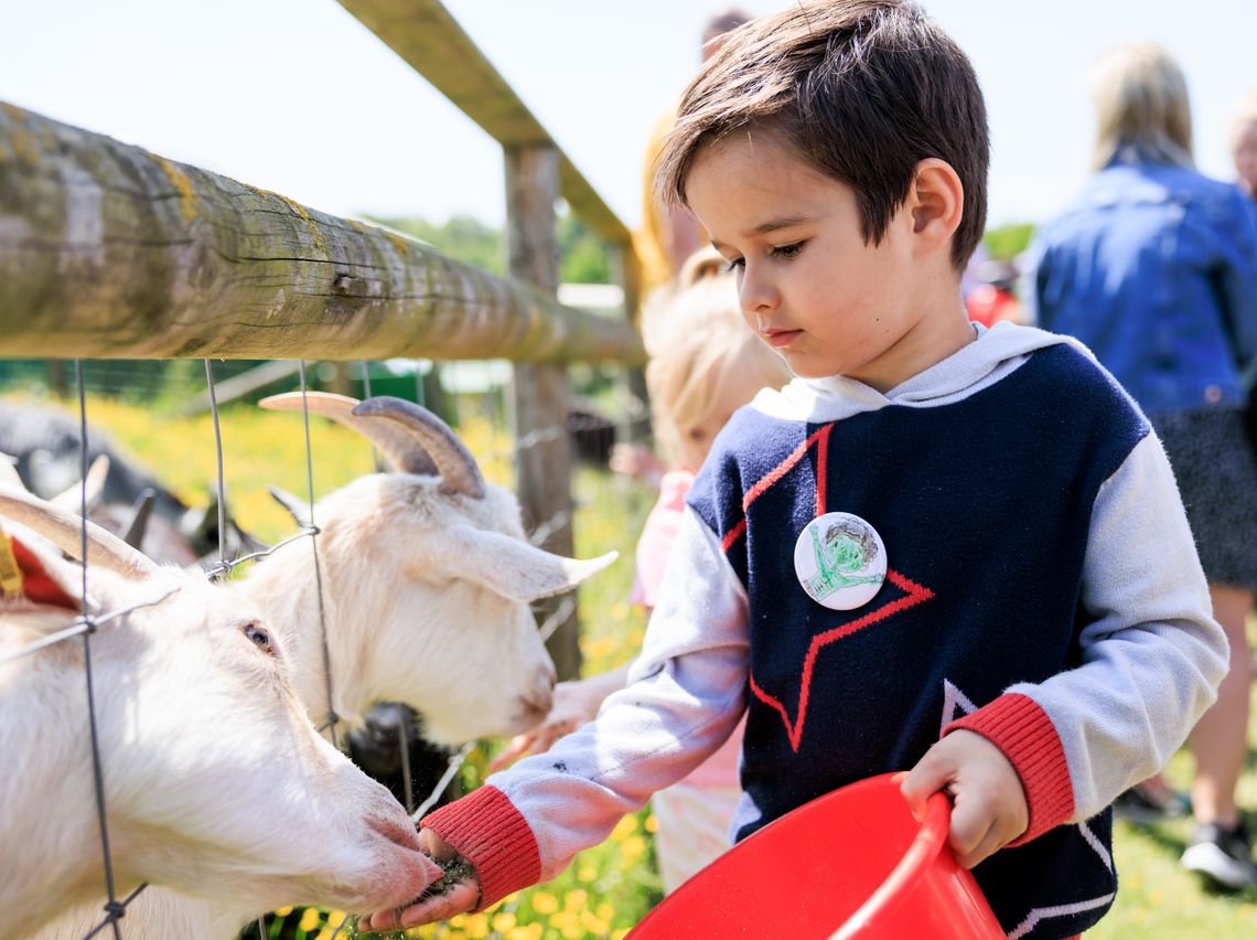Meet lots of friendly farm animals!