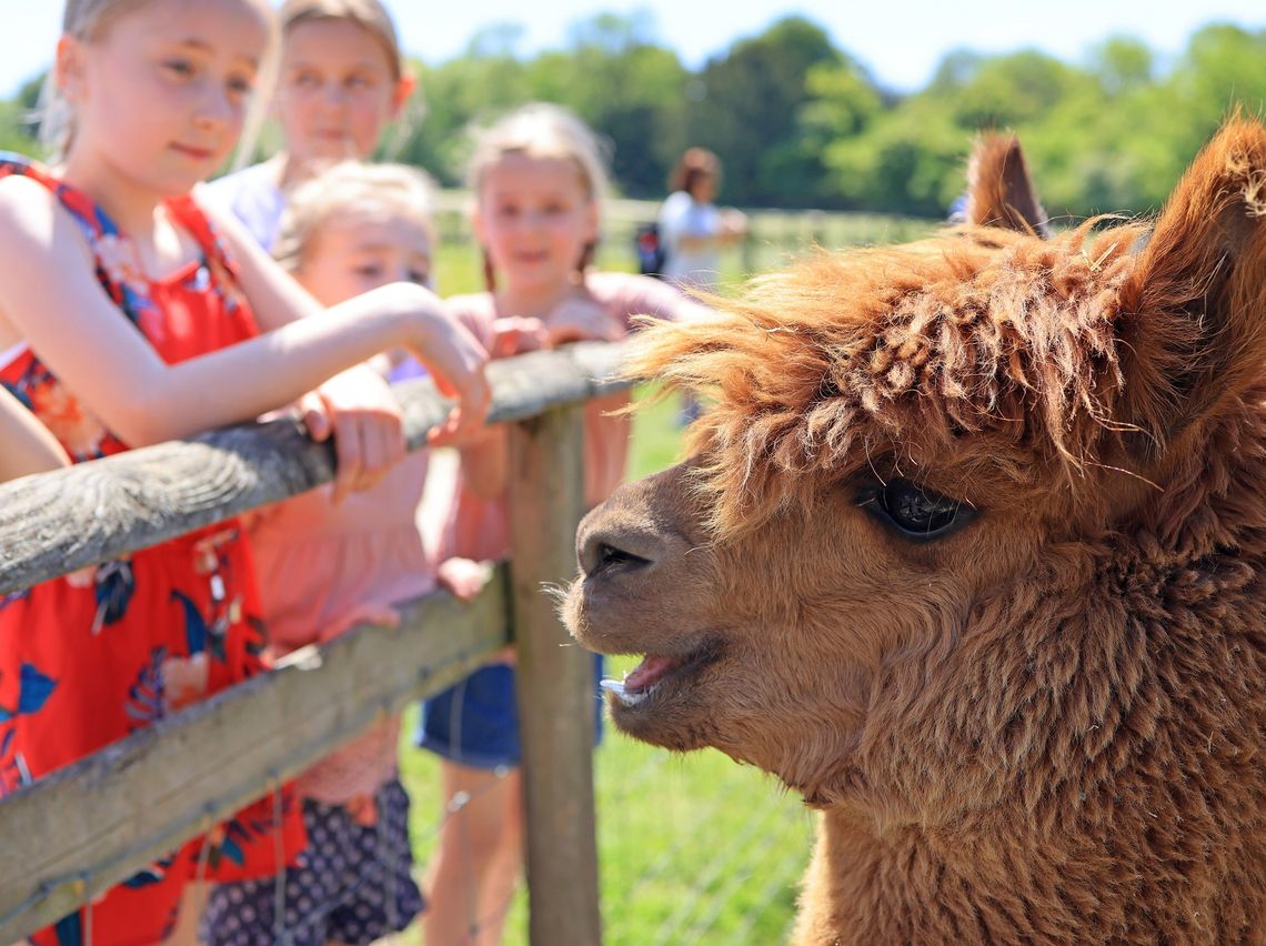 Explore the farm walks