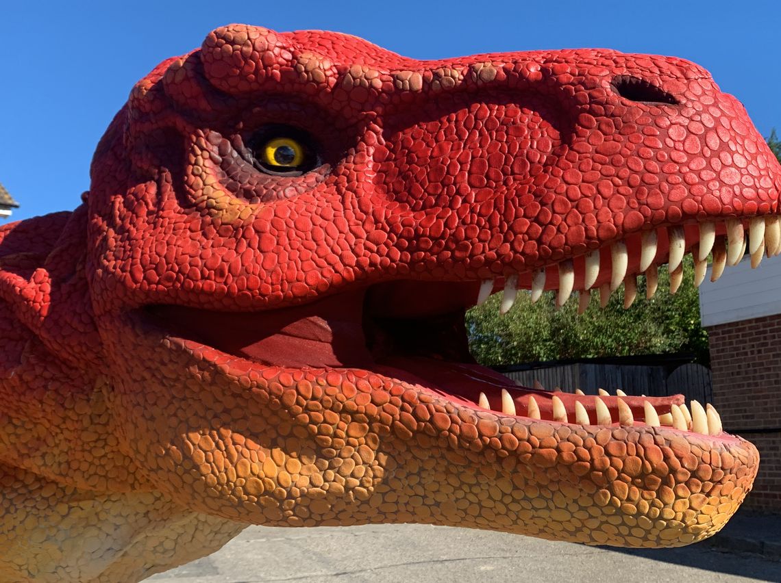 Meet the Dinosaurs in live shows