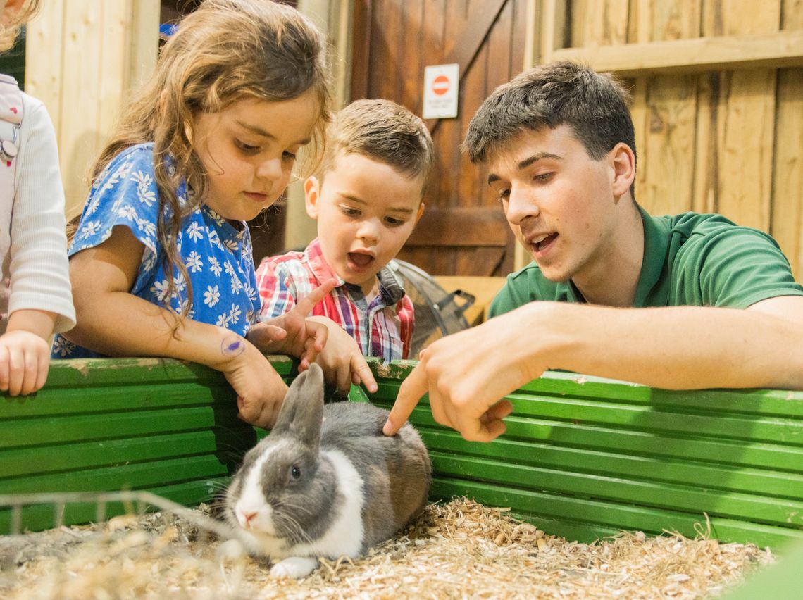 Daily Small Animal Encounter sessions
