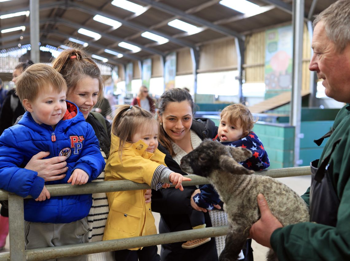 Meet the Shepherd to learn about our sheep and lambs