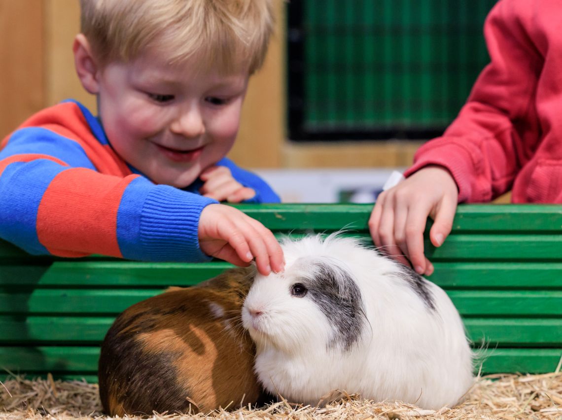 Get up close to our animals