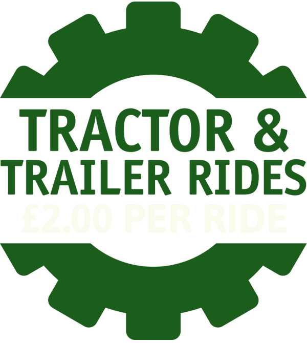 tractor and trailor rides logo