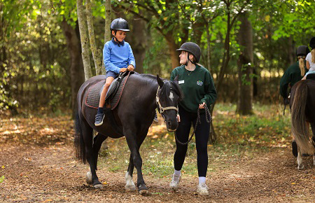 Pony Rides