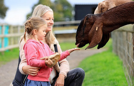 the farm walk