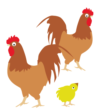 Chickens