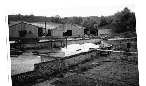 Bocketts Farm About Us Agricultural Barn