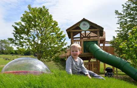 tree house towers