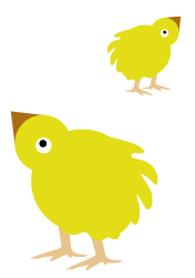 Chick