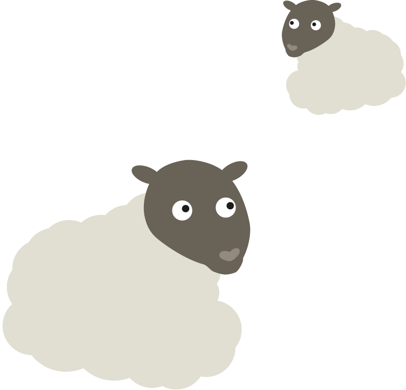 Sheep