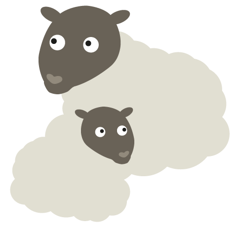 Sheep